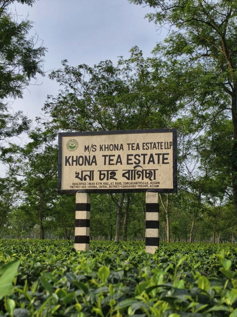 Khona Tea Garden